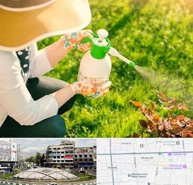 فروش سم حشرات در مرکز تهران