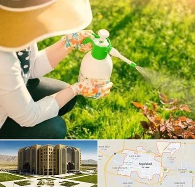 فروش سم حشرات در نجف آباد