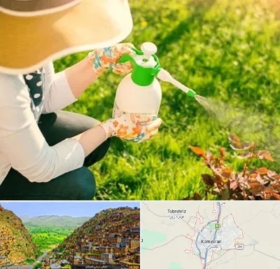 فروش سم حشرات در کامیاران