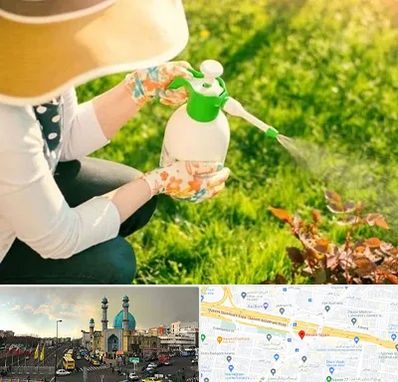 فروش سم حشرات در رسالت 