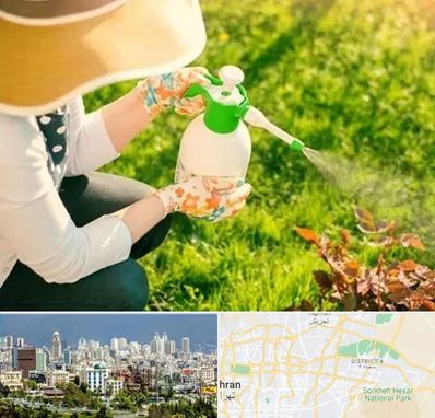 فروش سم حشرات در شرق تهران 