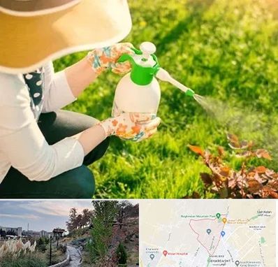 فروش سم حشرات در باغستان کرج 