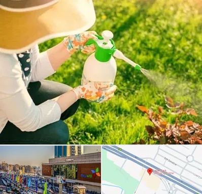 فروش سم حشرات در لاله پارک تبریز