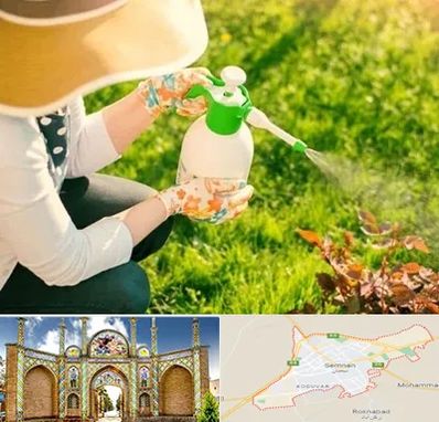 فروش سم حشرات در سمنان