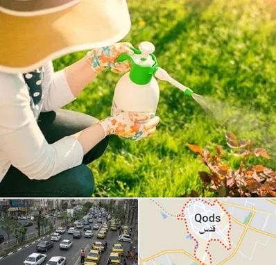 فروش سم حشرات در شهر قدس