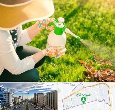 فروش سم حشرات در سعادت آباد 