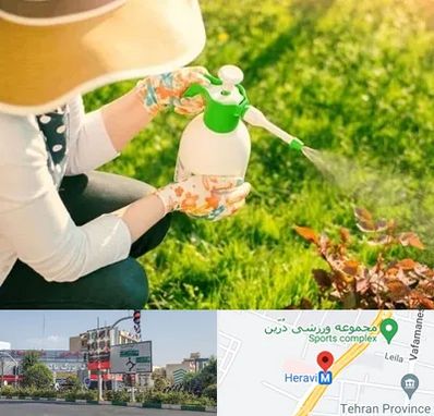 فروش سم حشرات در هروی 