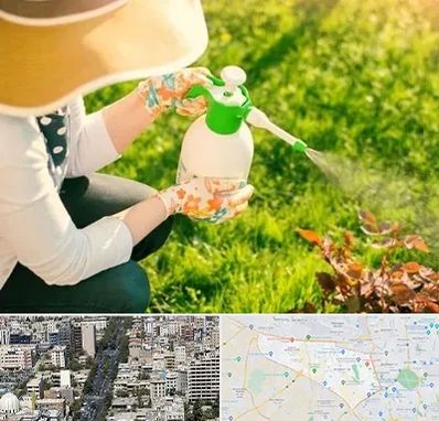 فروش سم حشرات در منطقه 18 تهران 