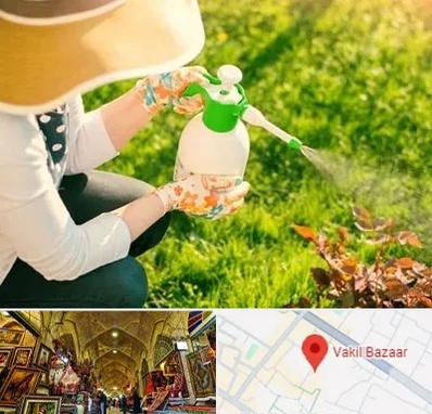 فروش سم حشرات در بازار وکیل شیراز