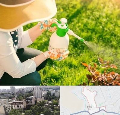 فروش سم حشرات در اوین