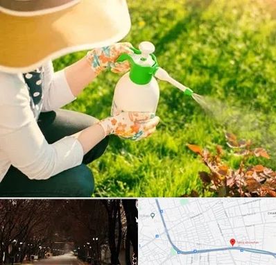 فروش سم حشرات در ابوریحان تبریز