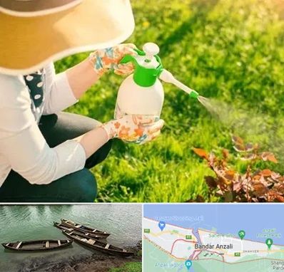 فروش سم حشرات در بندر انزلی