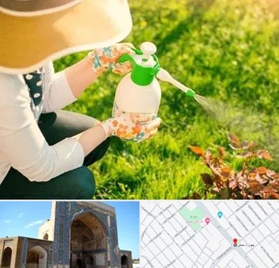 فروش سم حشرات در مصلی مشهد