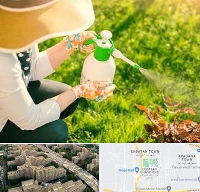 فروش سم حشرات در اکباتان 