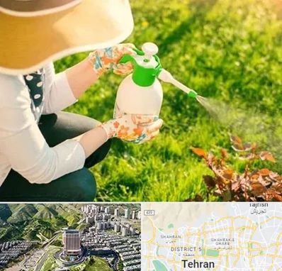 فروش سم حشرات در شمال تهران 