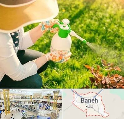 فروش سم حشرات در بانه