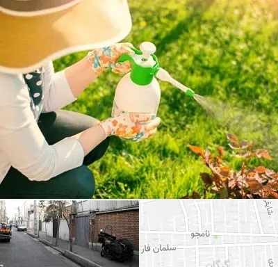 فروش سم حشرات در خیابان نامجو