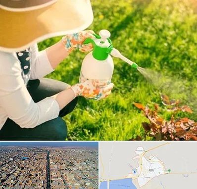 فروش سم حشرات در بندر ماهشهر