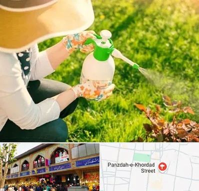 فروش سم حشرات در 15 خرداد