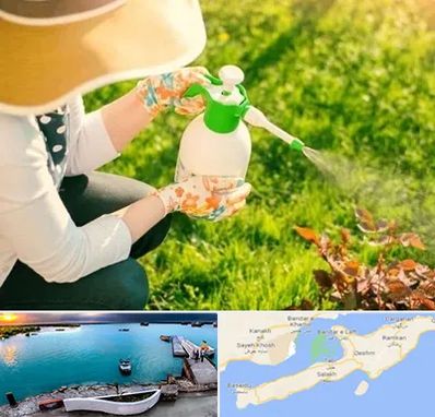 فروش سم حشرات در قشم