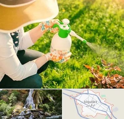 فروش سم حشرات در الیگودرز