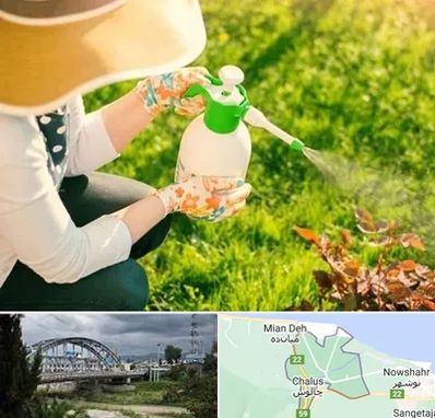 فروش سم حشرات در چالوس