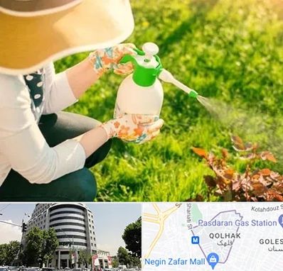 فروش سم حشرات در قلهک 