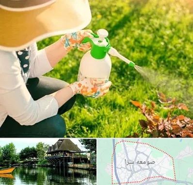 فروش سم حشرات در صومعه سرا