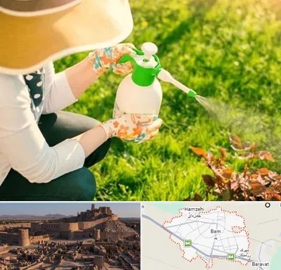 فروش سم حشرات در بم