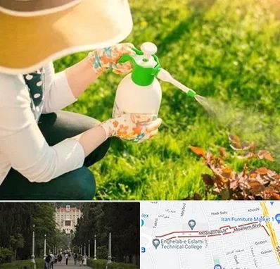 فروش سم حشرات در بلوار معلم رشت 