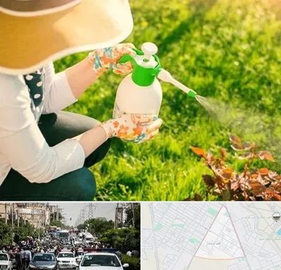 فروش سم حشرات در سیدی مشهد