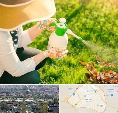 فروش سم حشرات در رباط کریم