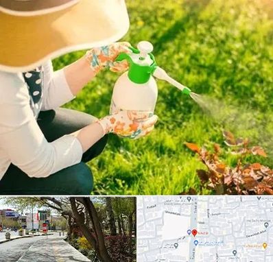 فروش سم حشرات در خیابان توحید اصفهان 