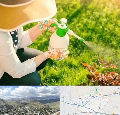 فروش سم حشرات در رودهن