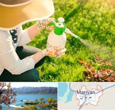 فروش سم حشرات در مریوان