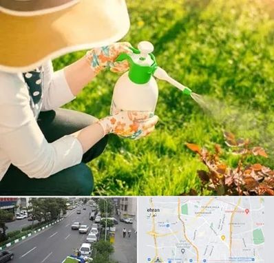 فروش سم حشرات در ستارخان 