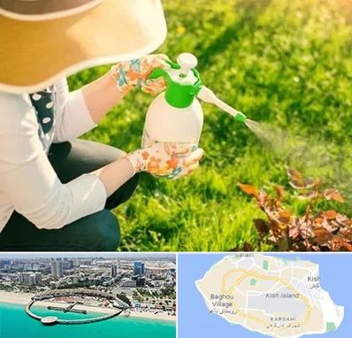 فروش سم حشرات در کیش