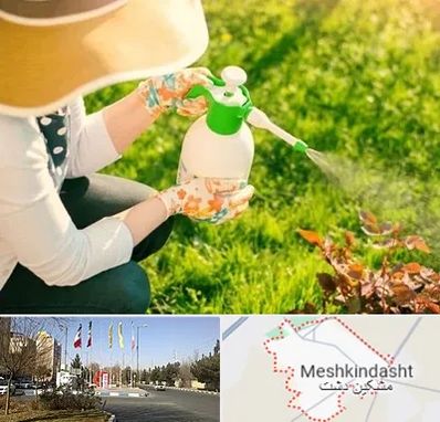 فروش سم حشرات در مشکین دشت