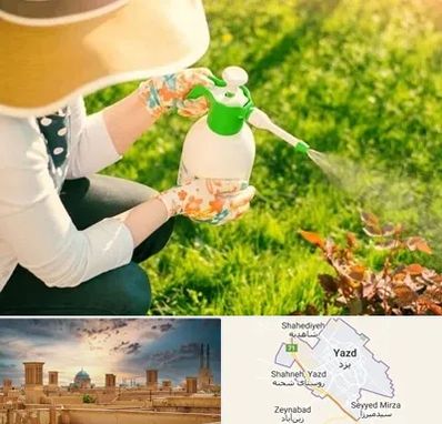 فروش سم حشرات در یزد