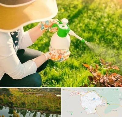 فروش سم حشرات در بهبهان