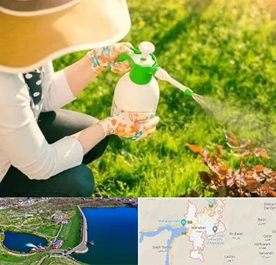 فروش سم حشرات در مهاباد