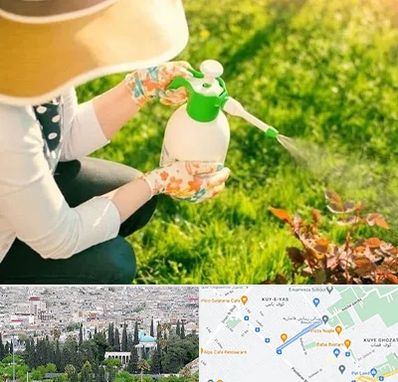 فروش سم حشرات در محلاتی شیراز 