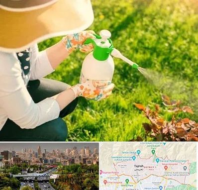 فروش سم حشرات در منطقه 1 تهران 