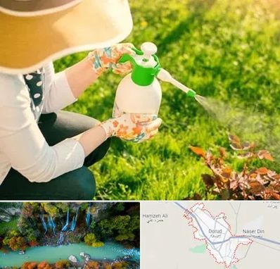 فروش سم حشرات در دورود