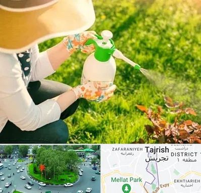 فروش سم حشرات در تجریش 