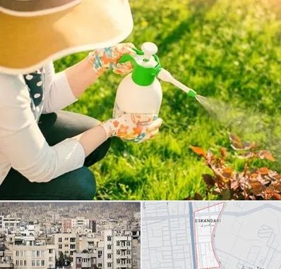 فروش سم حشرات در اسکندری