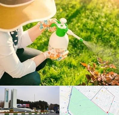 فروش سم حشرات در بلوار فلسیطین مشهد