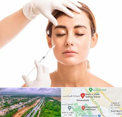 تزریق ژل گونه در قصرالدشت شیراز