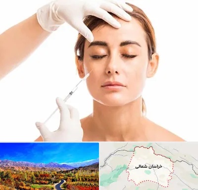 تزریق ژل گونه در خراسان شمالی