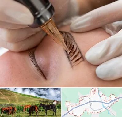 میکروبلیدینگ در تالش